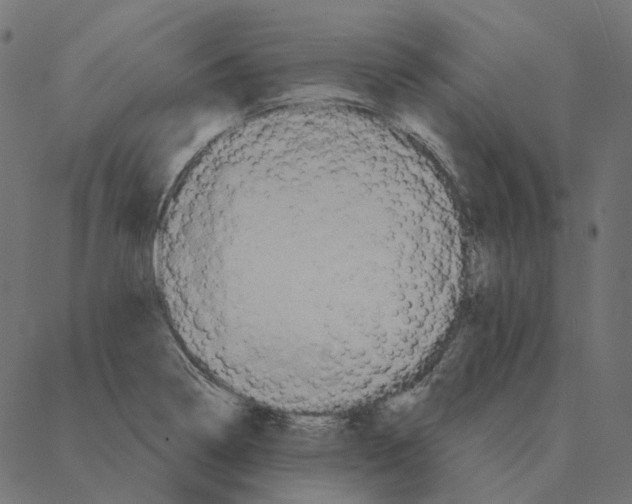 X0000087381322200705181232