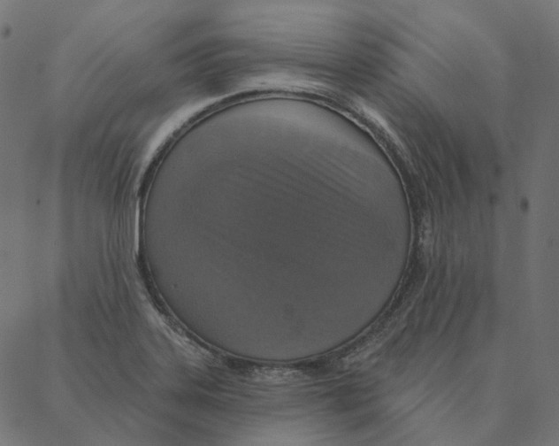 X0000087381323200705181232