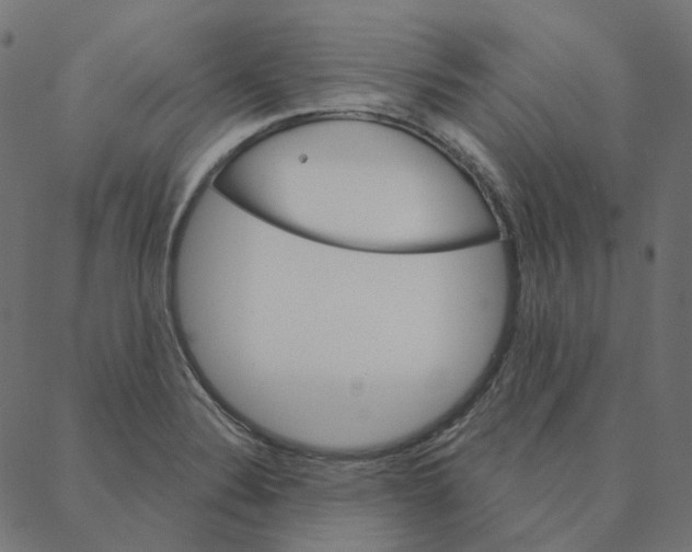 X0000087381324200705181232