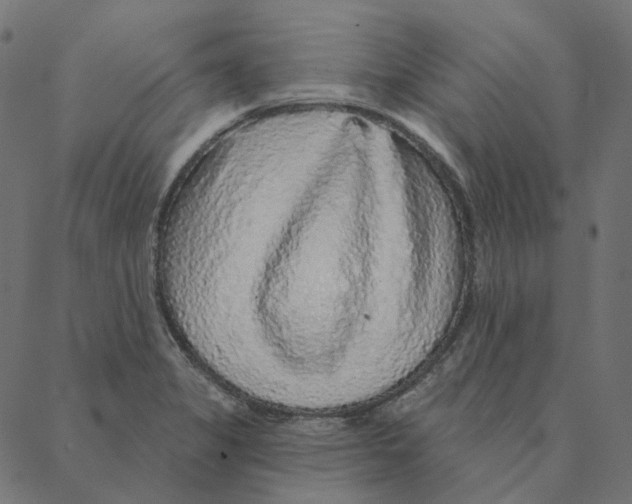 X0000087381325200705181232