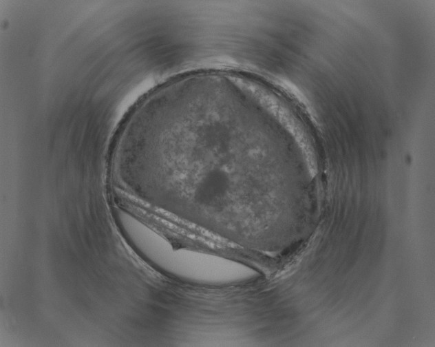 X0000087381326200705181232