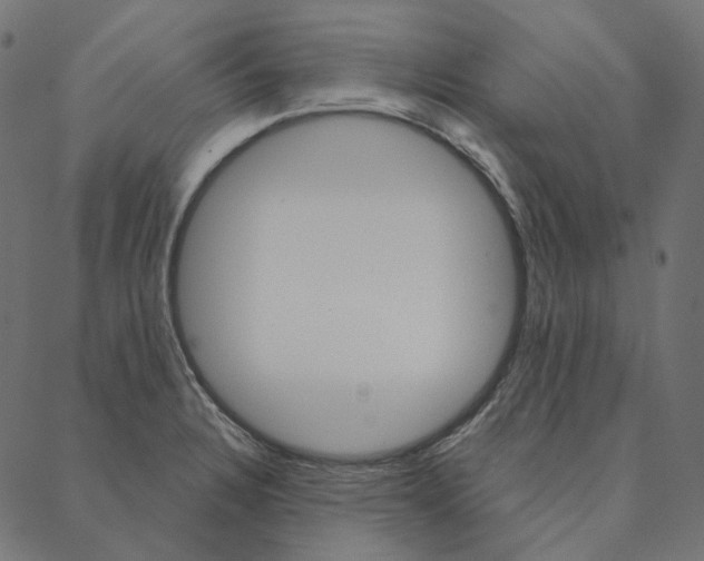 X0000087381328200705181232