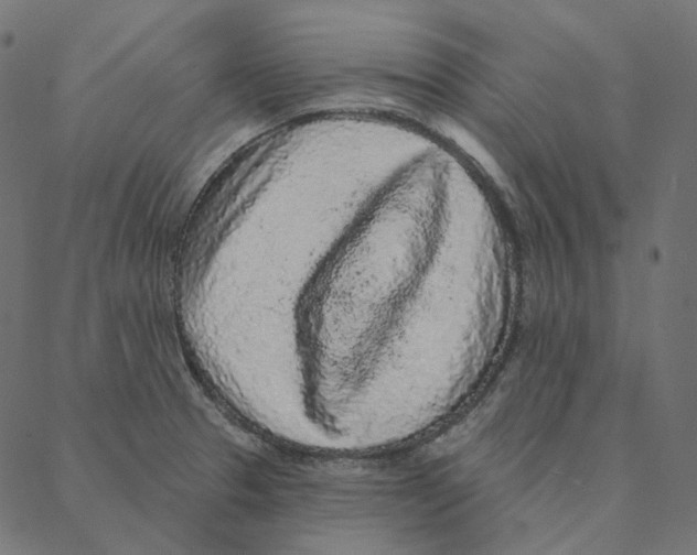 X0000087381329200705181232