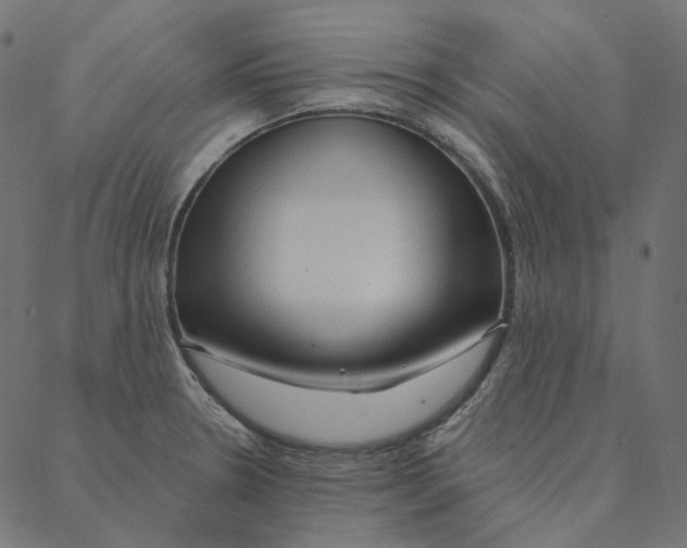 X0000087381330200705181232