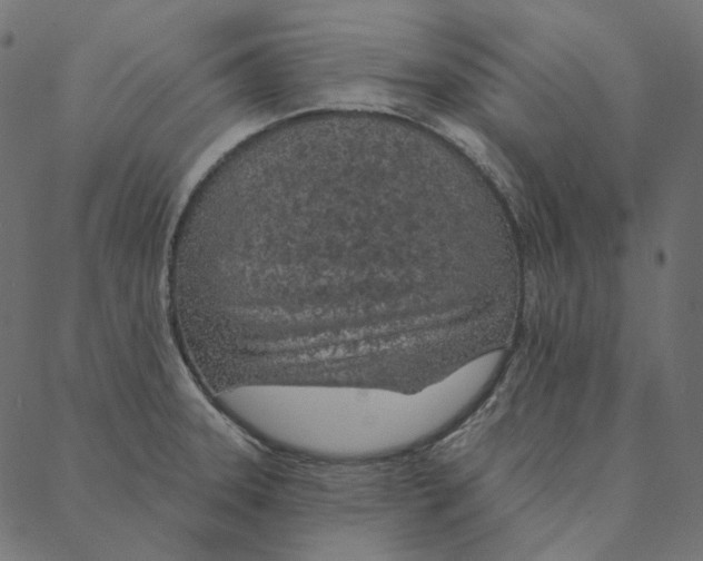 X0000087381331200705181232