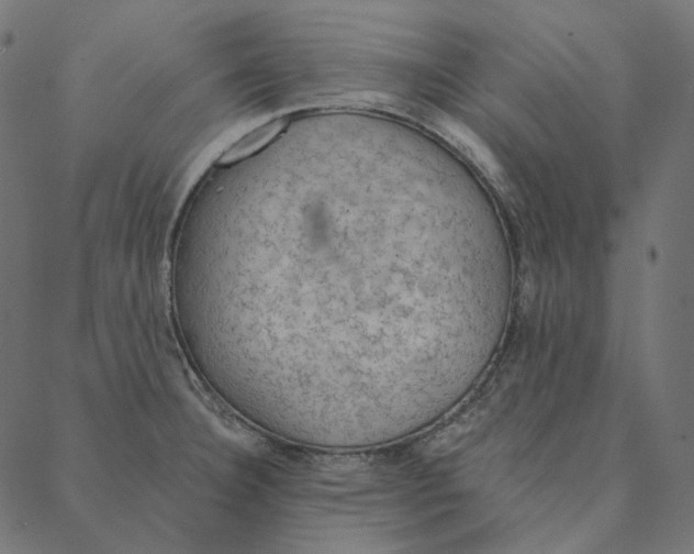 X0000087381332200705181232