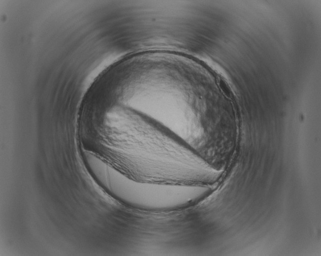 X0000087381333200705181232