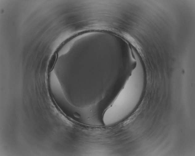 X0000087381334200705181232