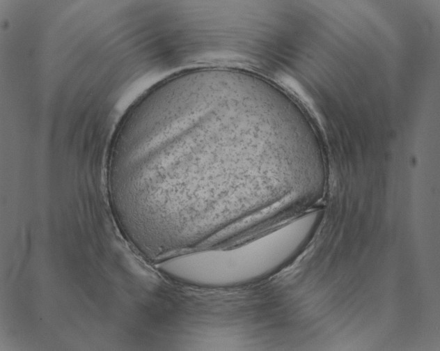 X0000087381336200705181232