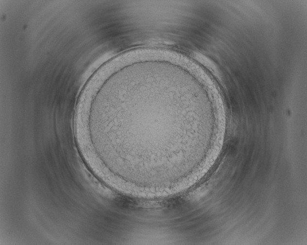 X0000087381338200705181233