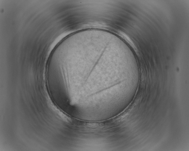 X0000087381339200705181233