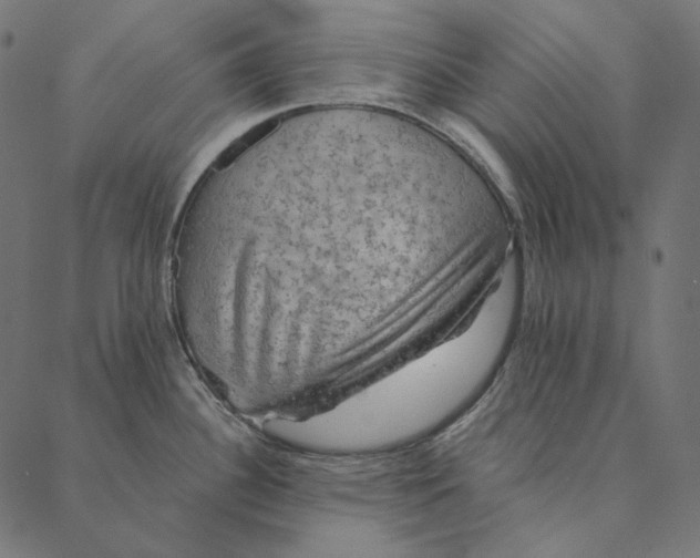 X0000087381340200705181233