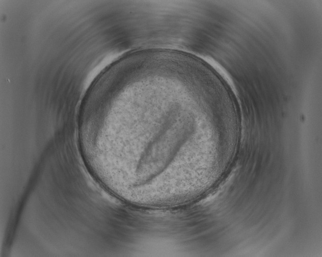 X0000087381341200705181233