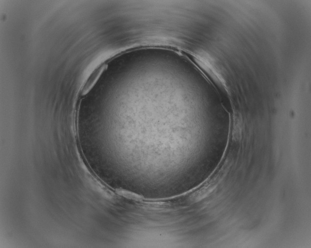 X0000087381342200705181233