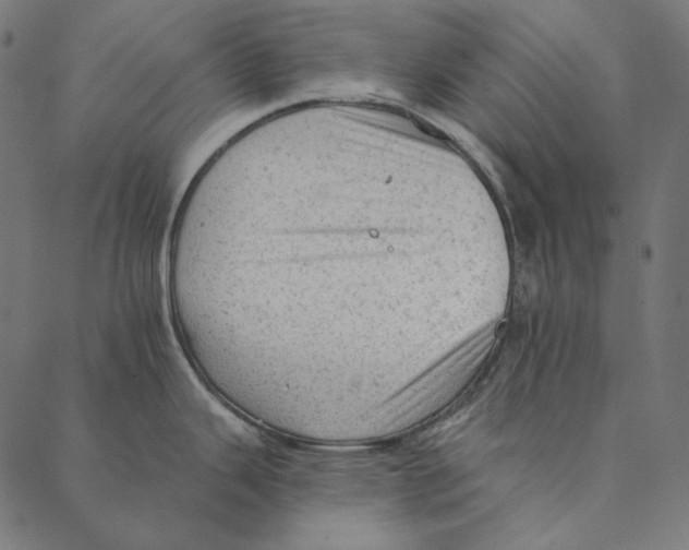 X0000087381343200705181233