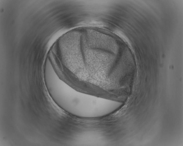 X0000087381344200705181233