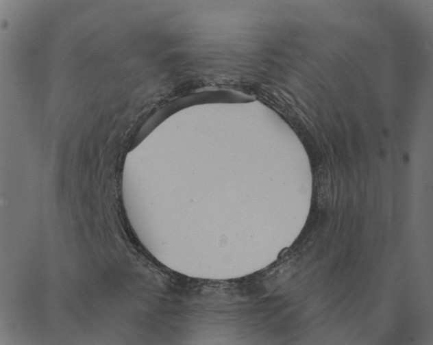 X0000087381345200705181232