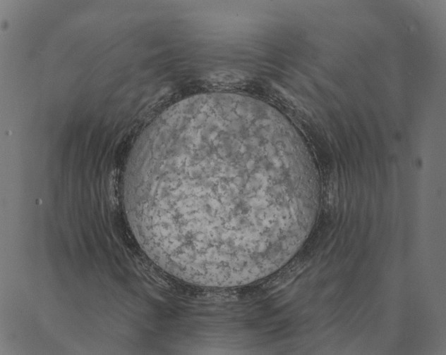 X0000087381346200705181232