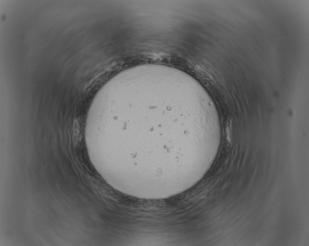 X0000087381347200705181232