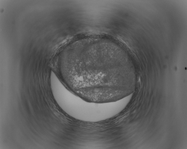 X0000087381348200705181232