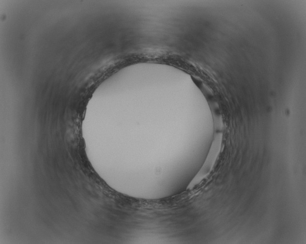 X0000087381349200705181232