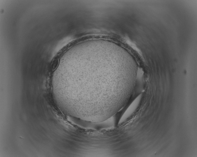 X0000087381352200705181232