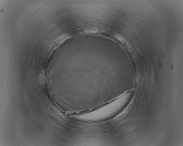 X0000087381353200705181232