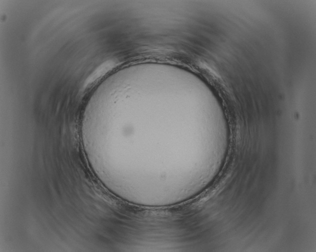 X0000087381354200705181232