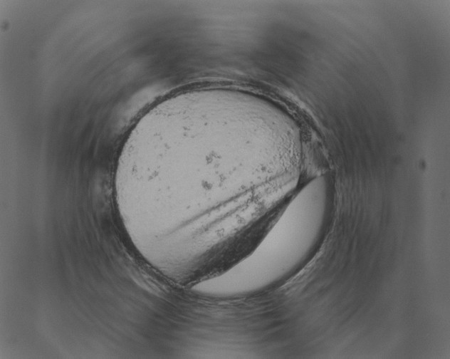 X0000087381355200705181232