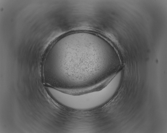 X0000087381356200705181232