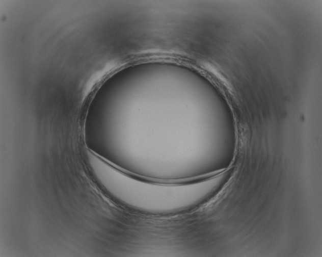 X0000087381357200705181232