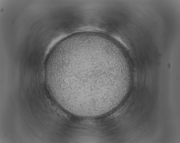 X0000087381358200705181232