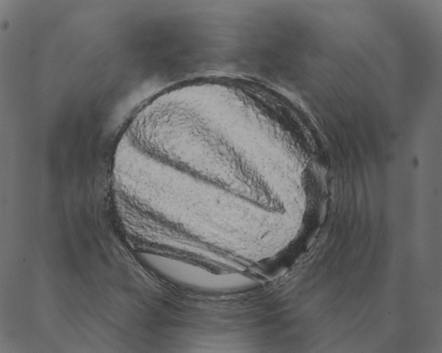 X0000087381359200705181232