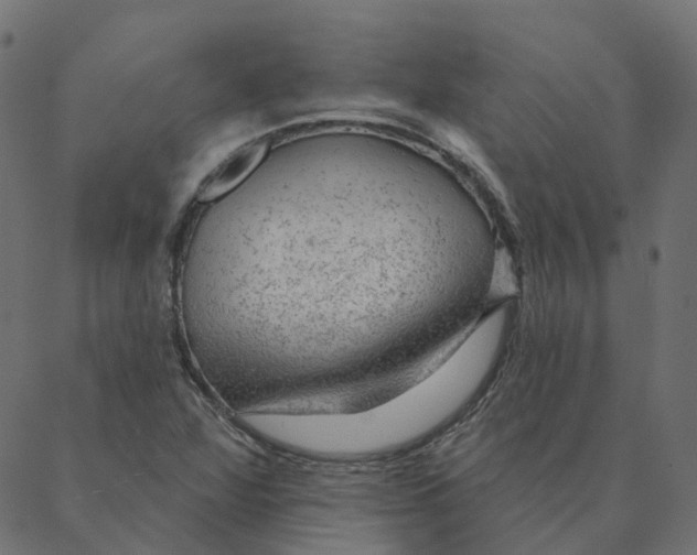 X0000087381360200705181232