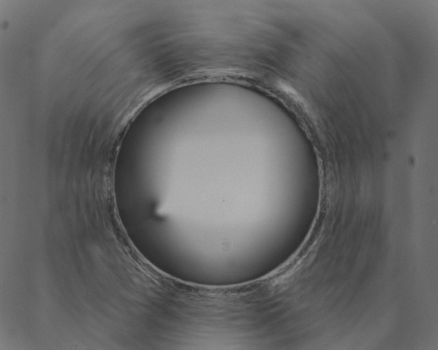 X0000087381361200705181232