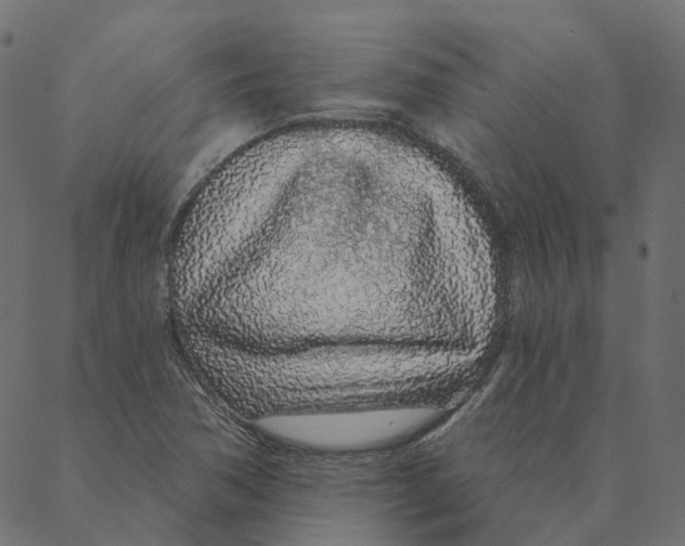 X0000087381362200705181232