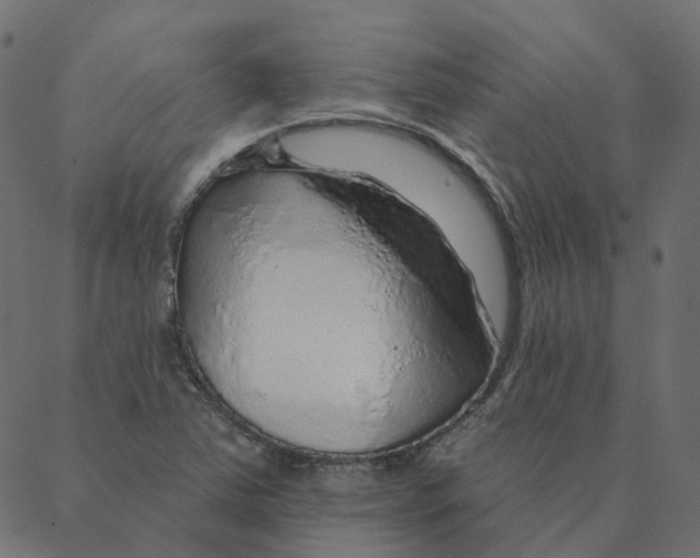 X0000087381363200705181232