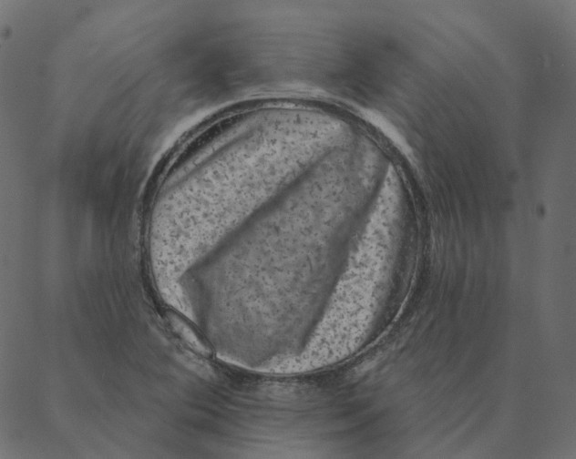 X0000087381364200705181232