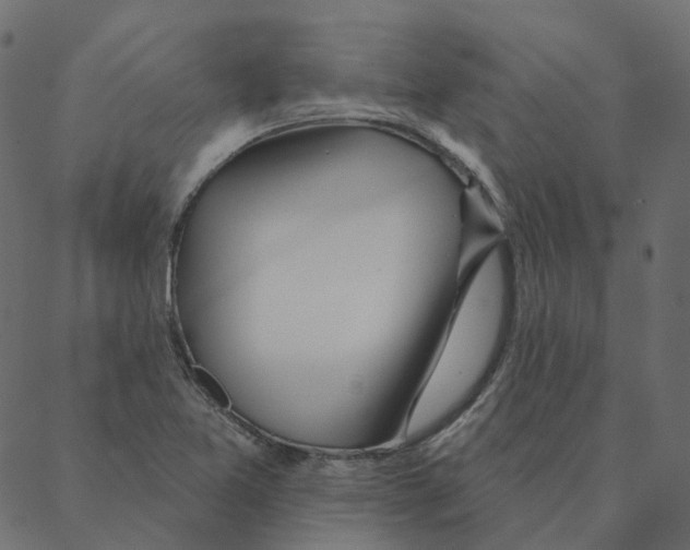 X0000087381365200705181232