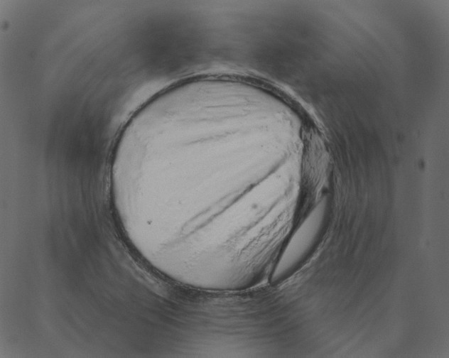 X0000087381367200705181231