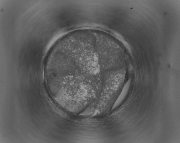 X0000087381368200705181231