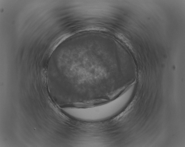 X0000087381369200705181231