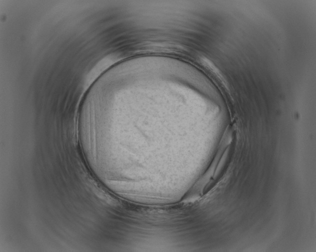 X0000087381370200705181231