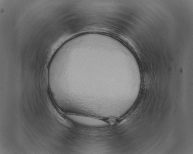 X0000087381371200705181231