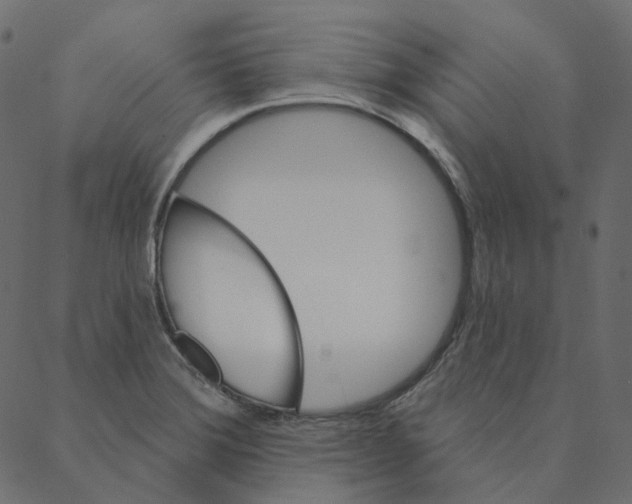 X0000087381372200705181231