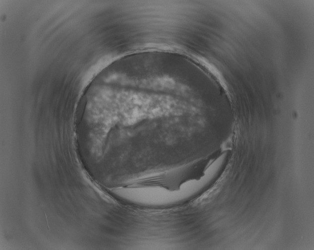 X0000087381373200705181231