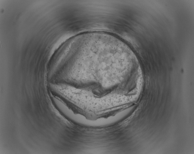 X0000087381374200705181231