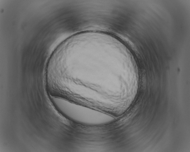 X0000087381375200705181231