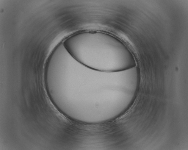 X0000087381376200705181231