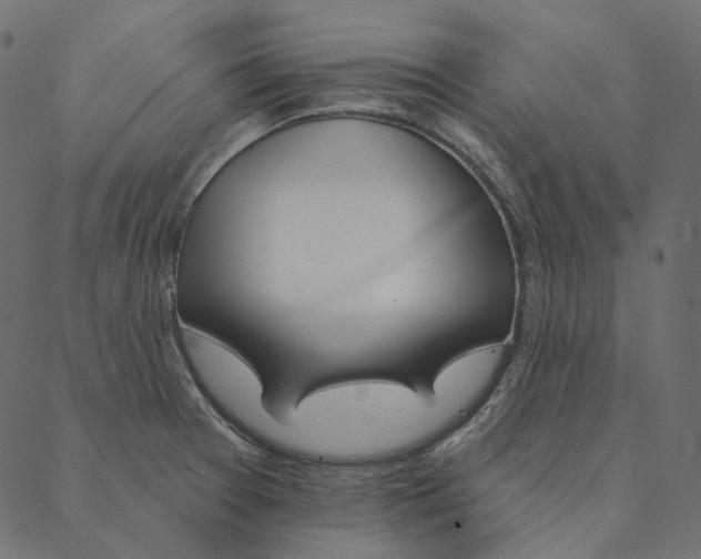 X0000087381377200705181231